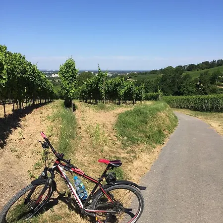 Schuetzenhof Garden
