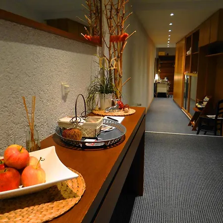 Hotel Schuetzenhof Spa Garden 3* Buerstadt